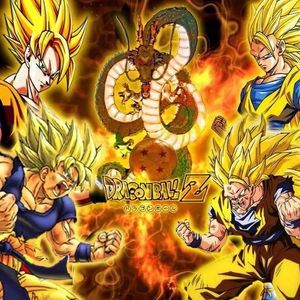 Meet your Posher, Bradley